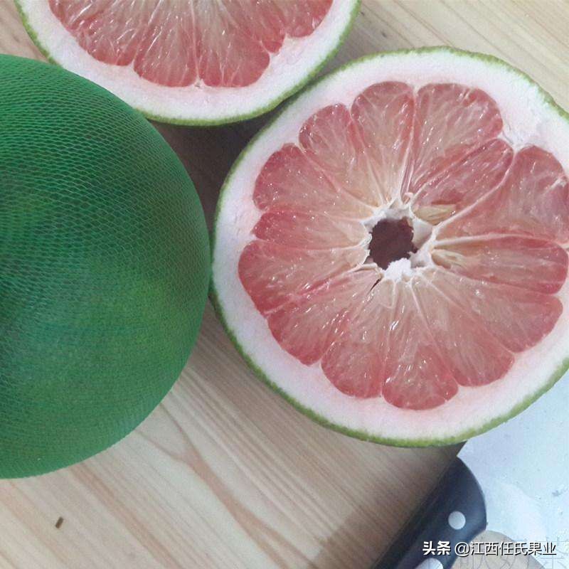 泰国红宝石青柚适合湖南种植吗,泰国红宝石青柚种植适宜温度