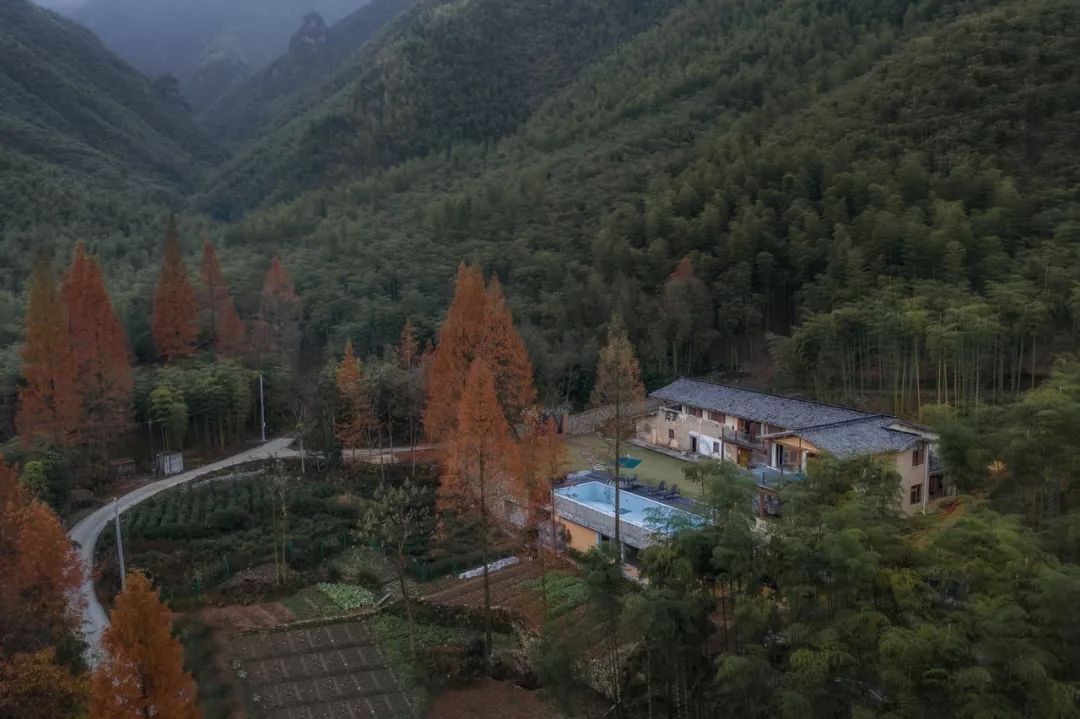 最美的民宿隐藏在森林云海,观光玻璃栈道民宿