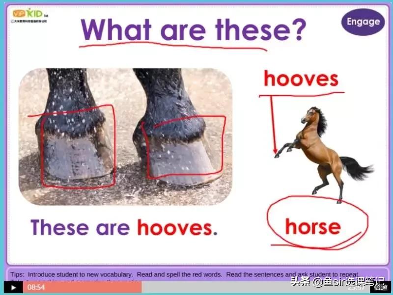 vipkid少儿英语学习效果怎么样,vipkid少儿英语启蒙怎么样