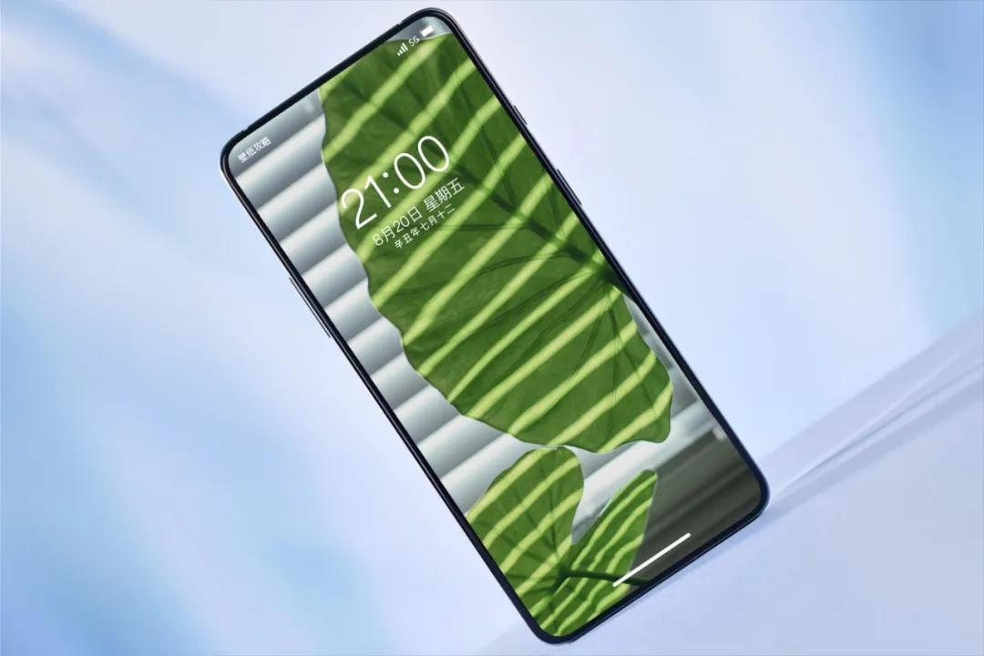 文艺素雅治愈植物手机壁纸,唯美治愈系手机壁纸植物