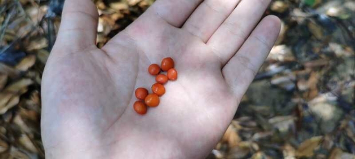 丹霞山周边三日游,丹霞山三日之旅攻略