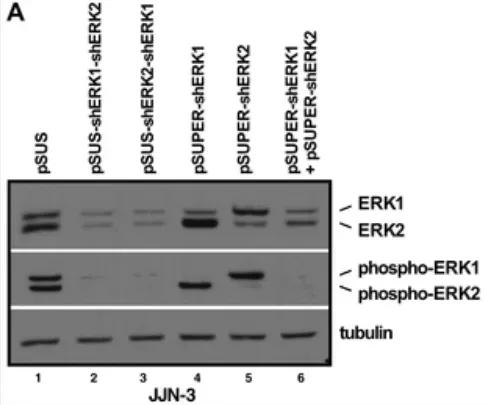 实验总是做不好怎么办,实验难做怎么办