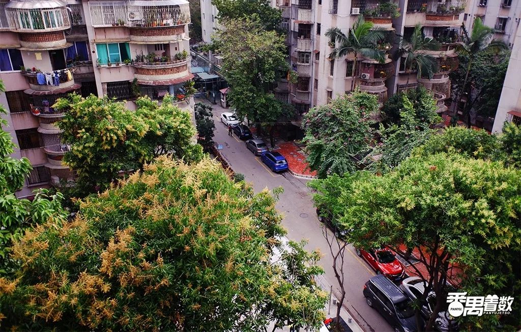 住在番禺的人的感受,在广州番禺区居住怎么样