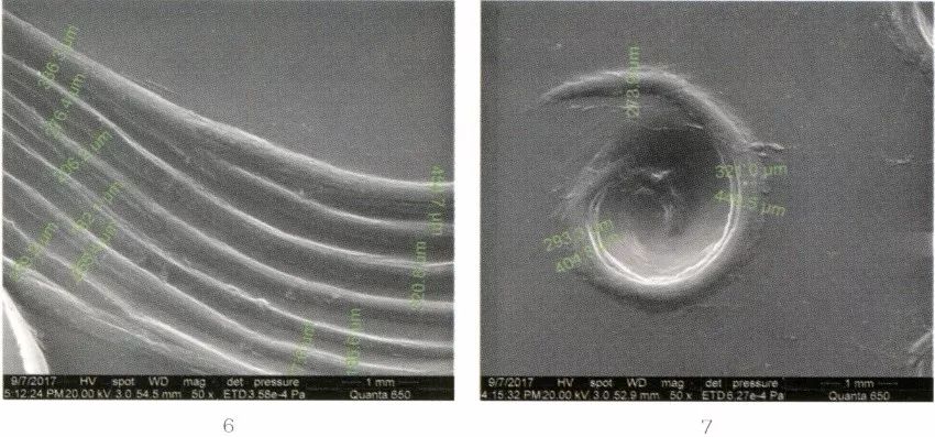 徐州狮子山楚王陵玉器,狮子山楚王出土玉器