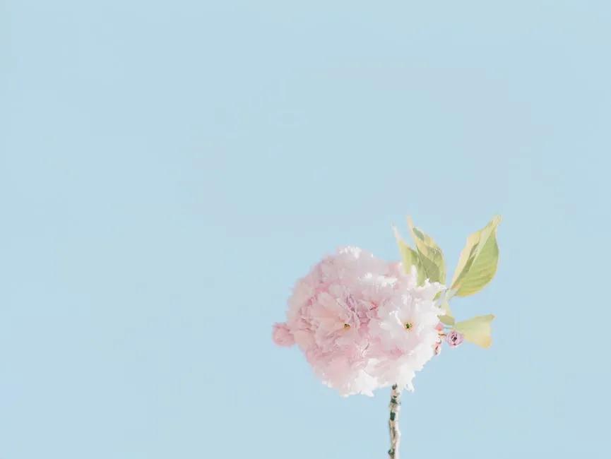 余生还很长请你不要失望 (余生很长别慌张别失望)