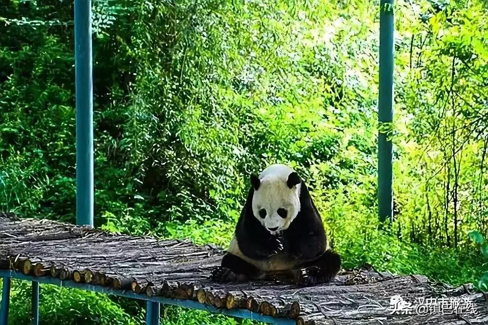 汉中周边踏青的好地方,四月汉中春天踏青的好去处