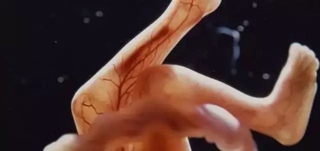 孕期护肤视频,孕期护肤言安堂