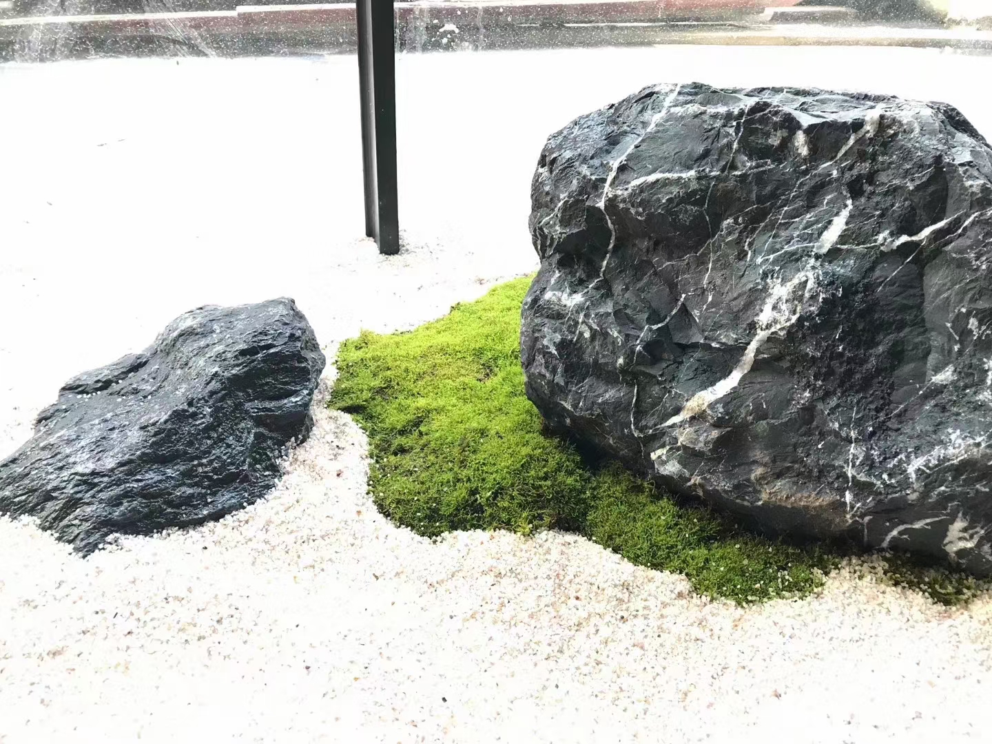 家里院子适合放什么盆栽,家里院子放什么好看