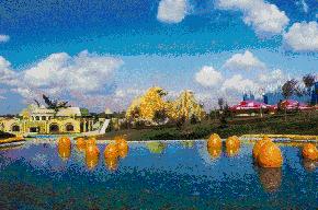 长春发布重要通知情况,长春面向社会公开招聘