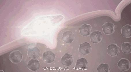 英国面膜推荐品牌,英国皇室护肤品