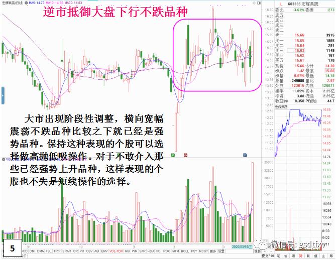 市场热点选股指标公式,市场行情与选股方法