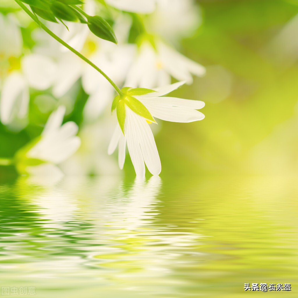 彻夜难眠的我，是因为与儿子对婚姻观产生了重大分歧