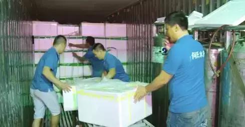 鱼类长途运输方法,活鱼运输最佳方法