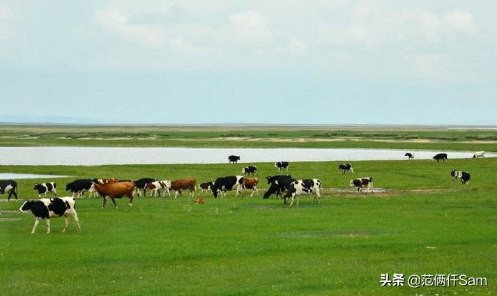 卡乐比calbee315,卡乐比水果麦片315