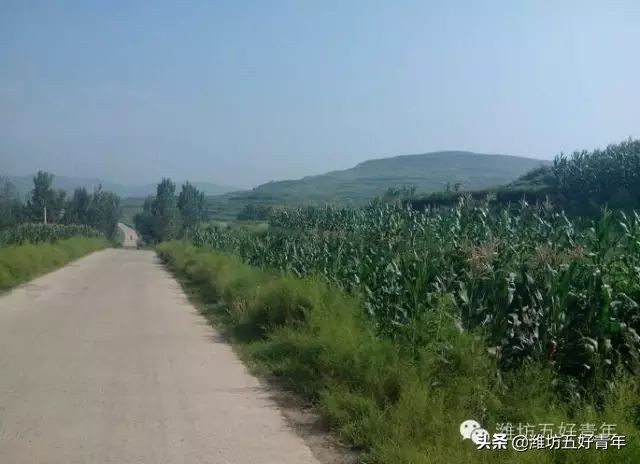 西行纪最后片段,西行纪第22天终结篇