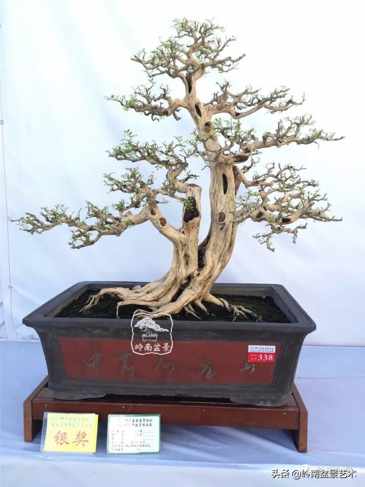 骞哥涔呬箙鐢滅敎铚滆湝,骞哥涔呬箙