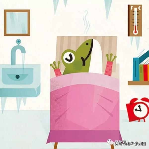 世界的全部动物,全世界的动物都有什么共同点