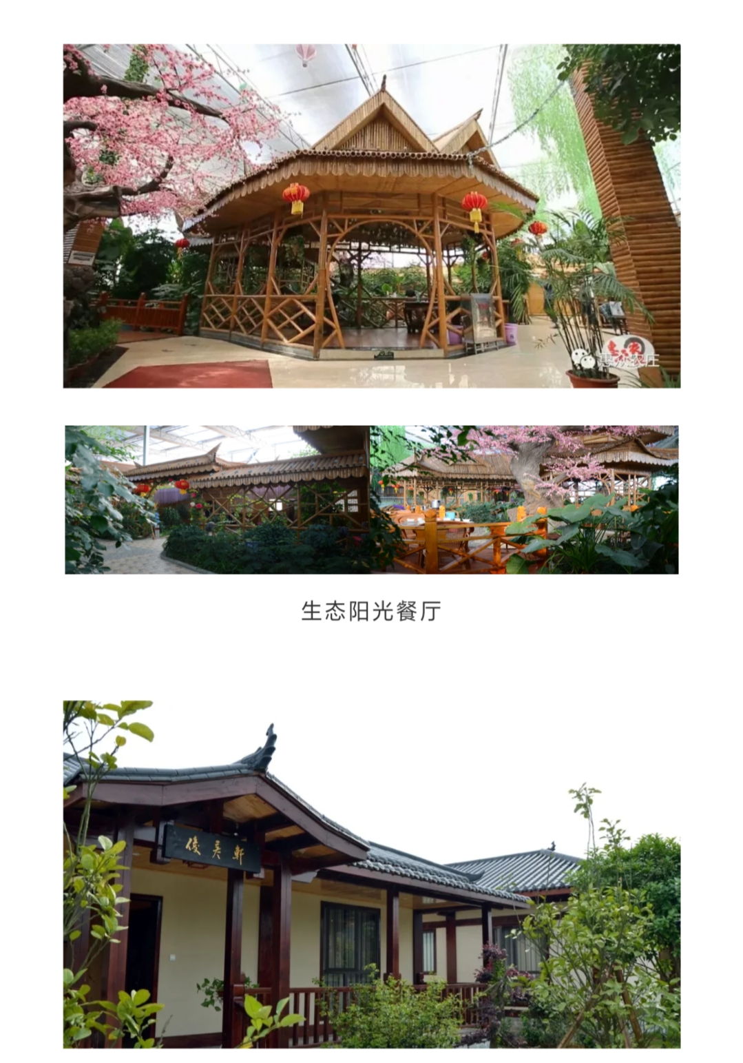 岳阳惠众农庄菜单,岳阳惠众农业研学基地