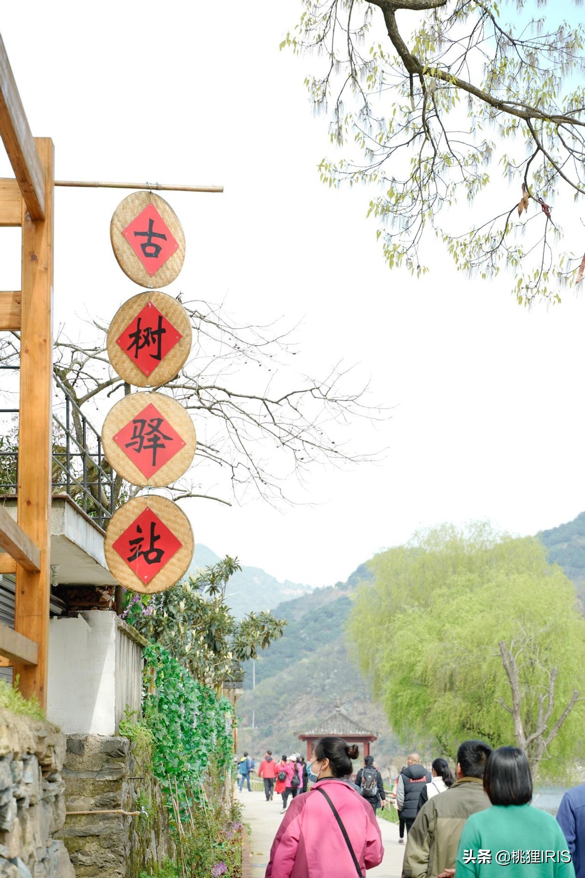 歙县特产卖什么比较好,安徽歙县哪里卖土特产