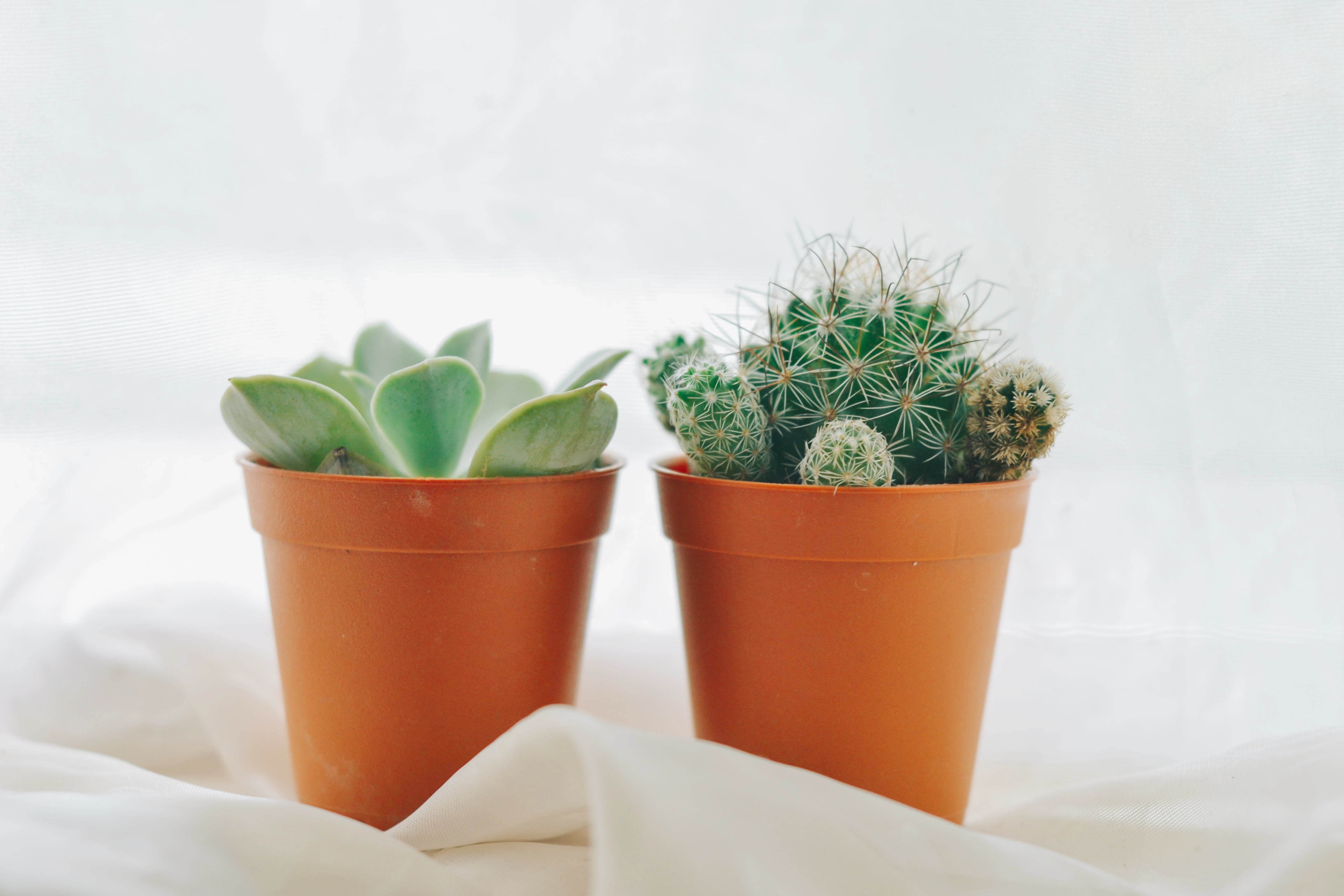 只能在家躺倒发霉？玩摄影的人都这么干