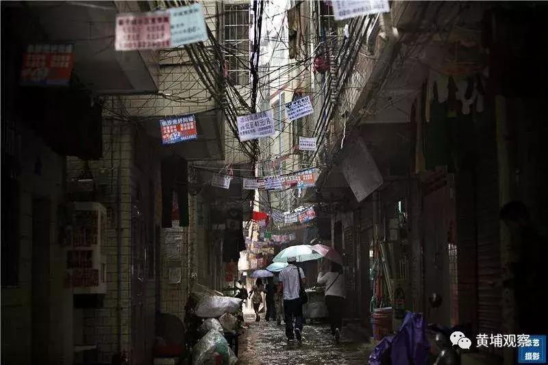 广州黄埔租房租金大概多少,广州黄埔区租房租金价目表