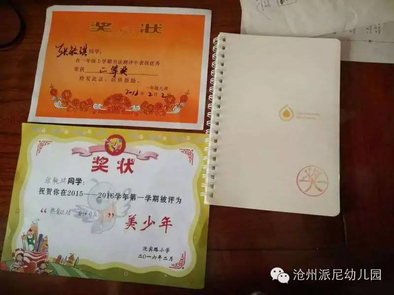 沧州派尼幼儿园学费,派尼幼儿园学费