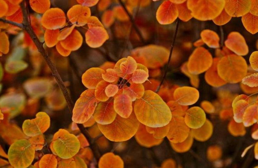 人生真正的迷茫从四十岁开始,人到中年开始思考人生的苦涩了吗