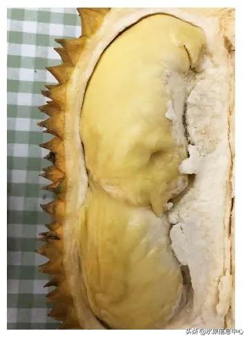 托曼尼猫山王榴莲价格,泰国托曼尼榴莲和猫山王区别