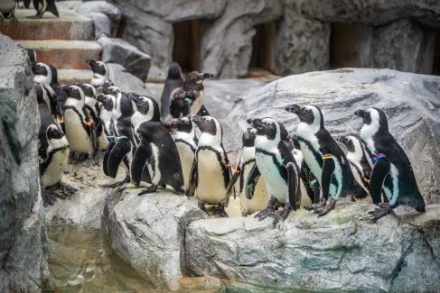 超级小众的日本旅游,日本九州游玩