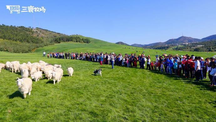 大连三寰牧场自由行,大连三寰牧场周围景点