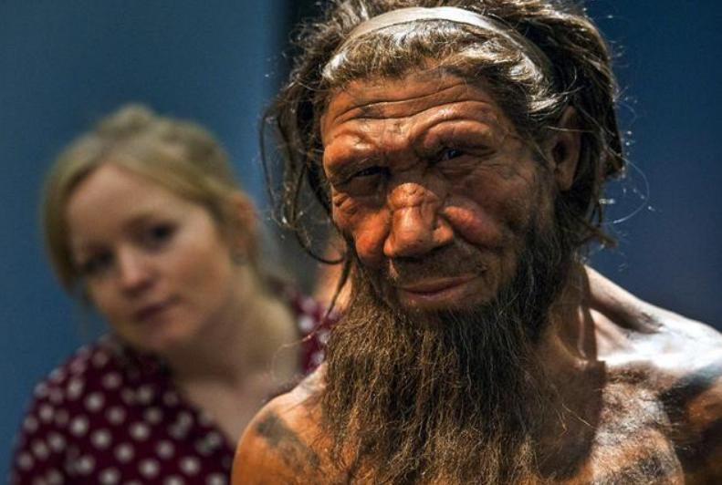 不同人种间，为什么不存在生殖隔离？