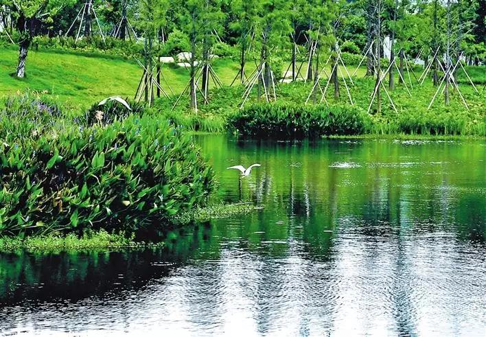 深圳遛娃50个必去的主题公园,深圳遛娃必去景点免费全部列表