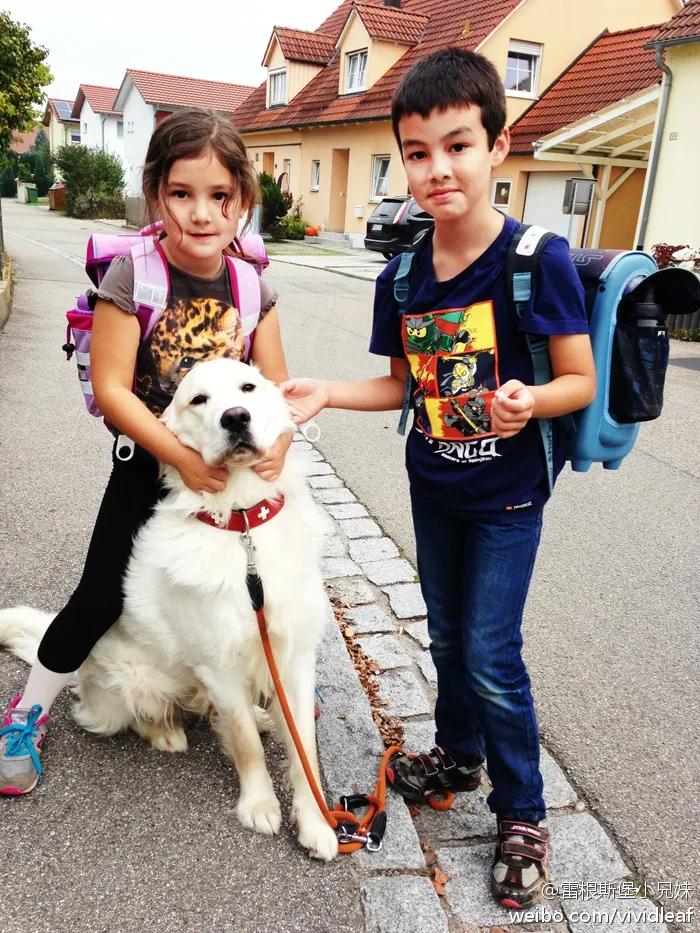 德国孩子为什么那么自信,德国幼儿混龄教育