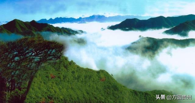 贵州清凉一日游,贵州黔南春季旅游攻略