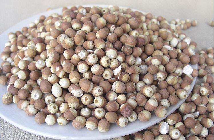 脾胃虚湿气重最好最快的祛湿方法,脾胃虚寒湿气重吃什么调理