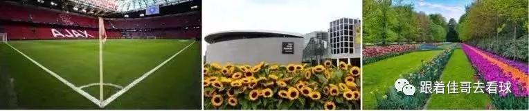 欧洲杯在阿姆斯特丹哪里举办,欧洲杯在阿姆斯特丹哪里举行