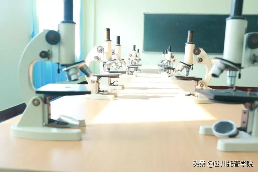 四川托普信息职业技术学院报名,四川托普信息职业技术学院招生办