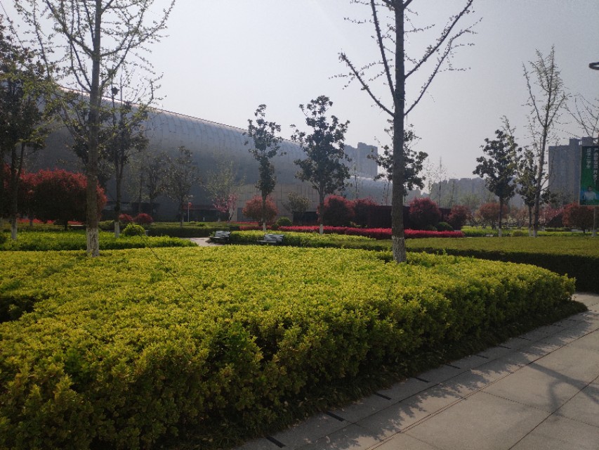 徐州体育中心有哪些,徐州鸟巢能容纳多少人