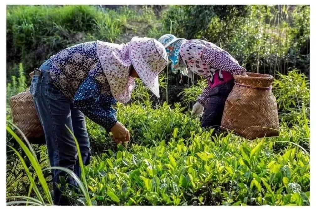 厦门翔安春游踏青好去处,厦门五一周边古镇古村旅游攻略