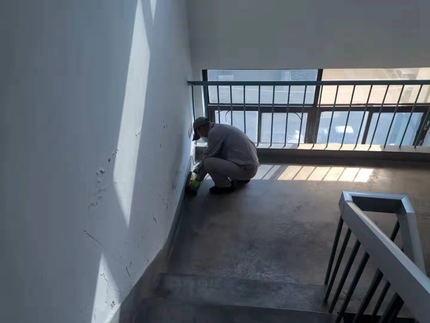 广州办公楼四害消杀附近公司,江门办公楼四害消杀专业团队