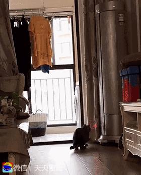 搞笑gif你们这些城里人太会玩了,搞笑gif逗比的世界你永远理解不了