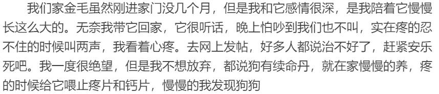 金毛从楼上掉下来然后上去救主人,金毛突然掉下悬崖死亡原因