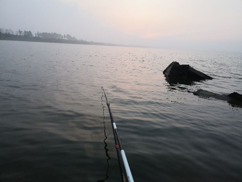 一味ex全能战比较,一味ex实测