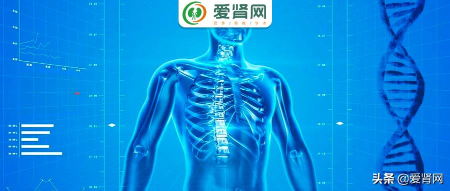 治疗肾衰前沿科学,延缓慢性肾脏病肾损害进展的措施