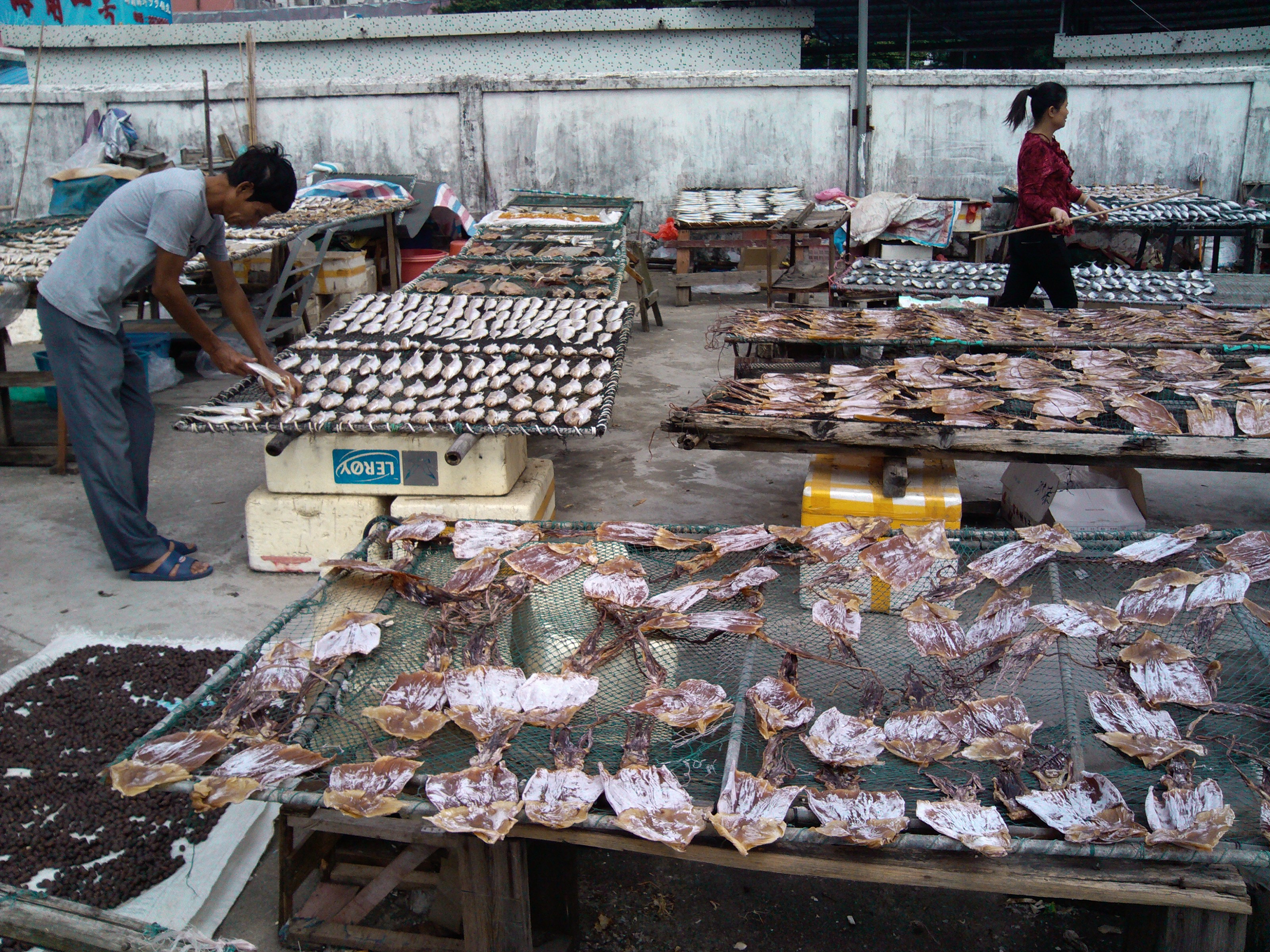 珠海石景山公园攻略,珠海澳门环岛游时间表