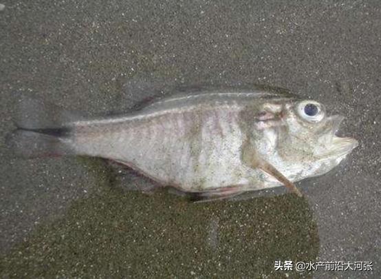 氨中毒安全措施方案,氨中毒用什么抢救