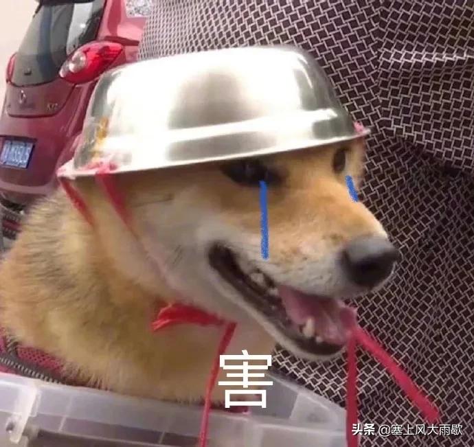 最新笑料合集，哈哈哈哈哈哈哈哈哈哈哈奇怪的知识又增加了