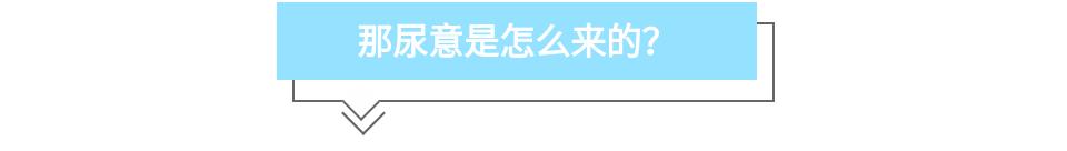 适当憋尿对膀胱有好处吗,膀胱要憋尿吗