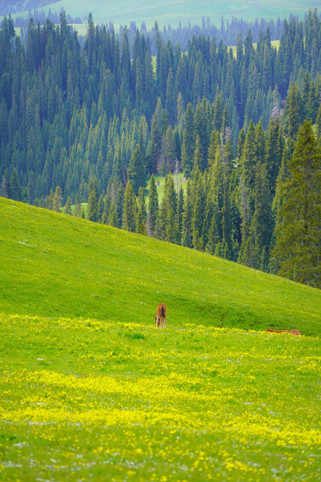 徒步100个必背知识,经典徒步路线新手