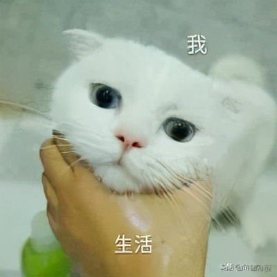 中国医药股票还有上涨的趋势吗,股市医药股还有机会么